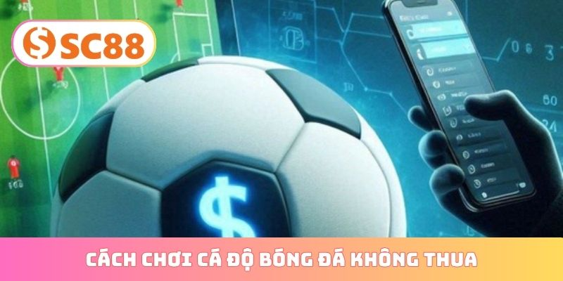 cách chơi cá độ bóng đá không thua